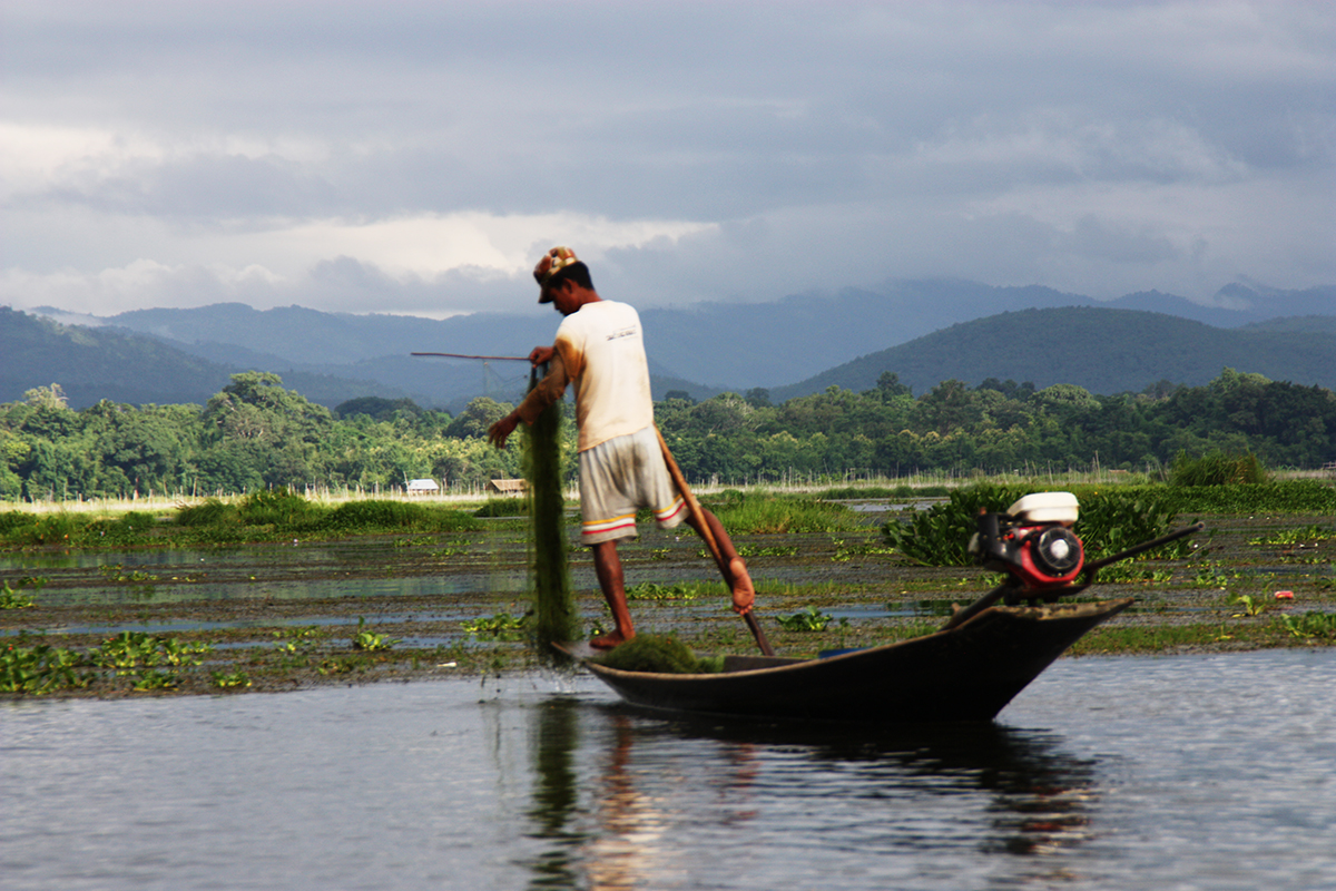 Pesca sul lago Inle Birmania